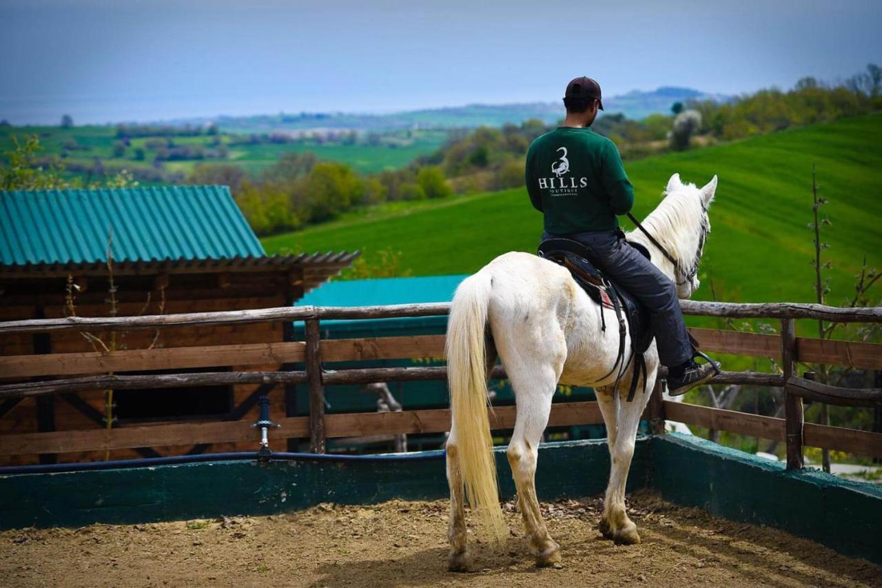 3 Hills Boutique - The Ranch Experience Hotell Trilofos Exteriör bild