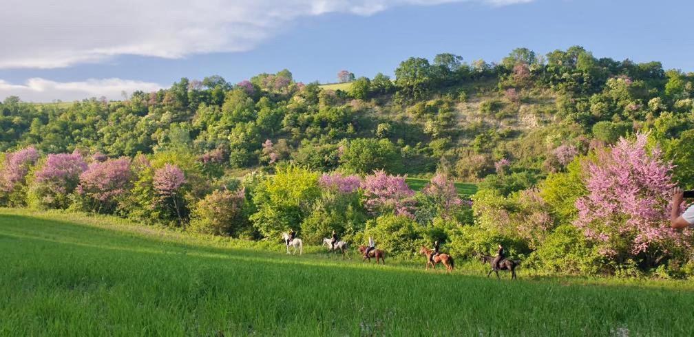 3 Hills Boutique - The Ranch Experience Hotell Trilofos Exteriör bild